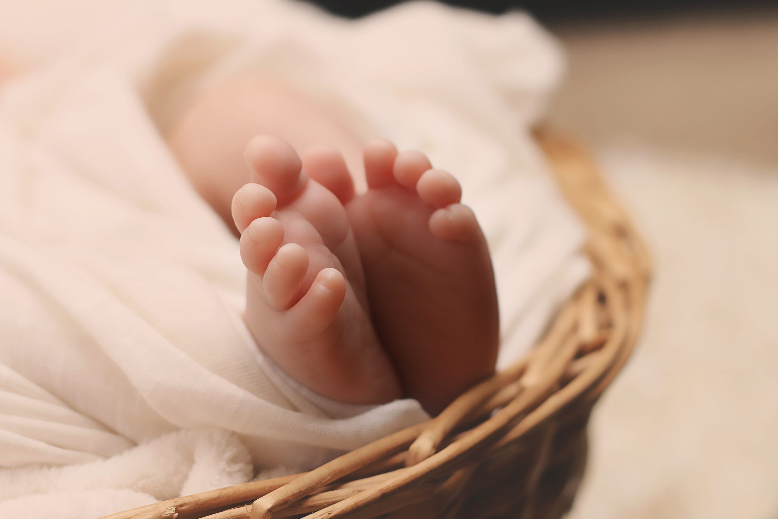 second trimester of pregnancy